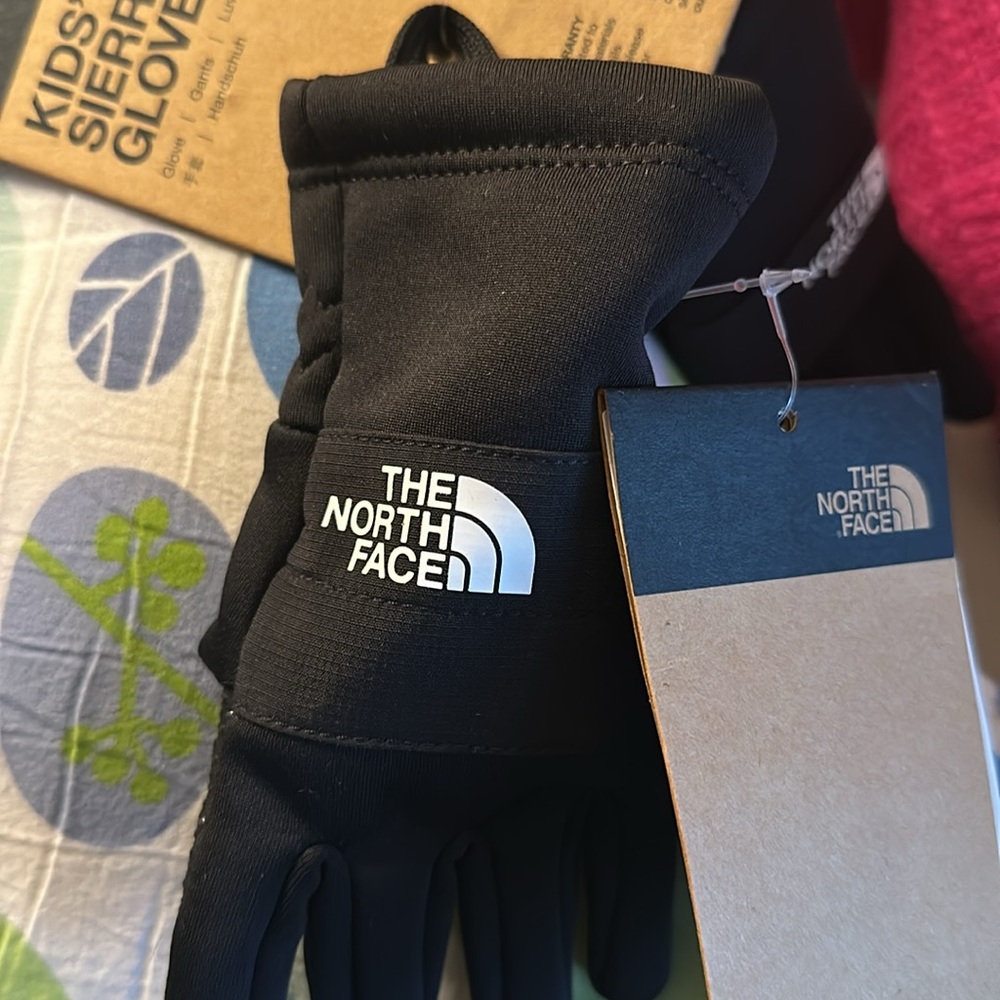 NWT THE NORTH FACE KIDS SIERRA ETIP GLOVE